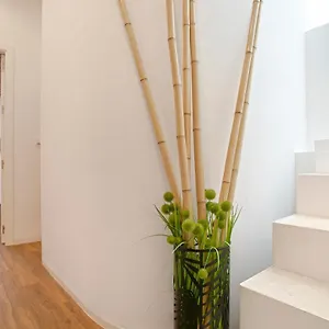 Appartement Genteel Santa Teresa, Séville